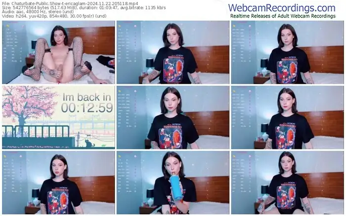 2024/11/22/chaturbate-ericaglam-20-51-18