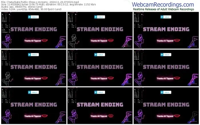 2024/11/23/chaturbate-minions_-07-06-19