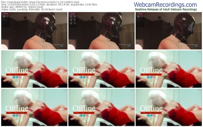 2024/11/23/chaturbate-bronnica-19-06-01