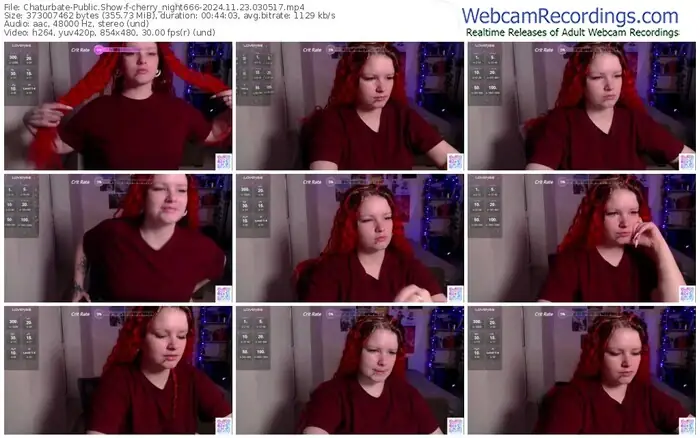 2024/11/23/chaturbate-cherry_night666-03-05-17