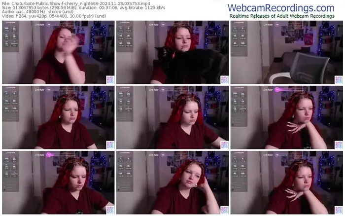 2024/11/23/chaturbate-cherry_night666-03-57-53