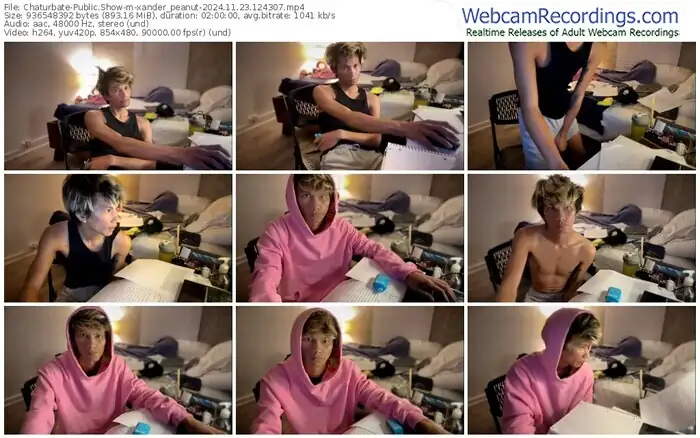 2024/11/23/chaturbate-xander_peanut-12-43-07