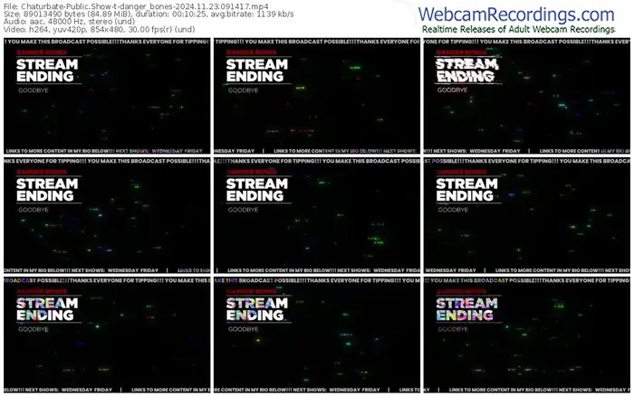 2024/11/23/chaturbate-danger_bones-09-14-17