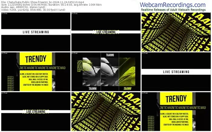 2024/11/24/chaturbate-taanni_bc-04-51-10