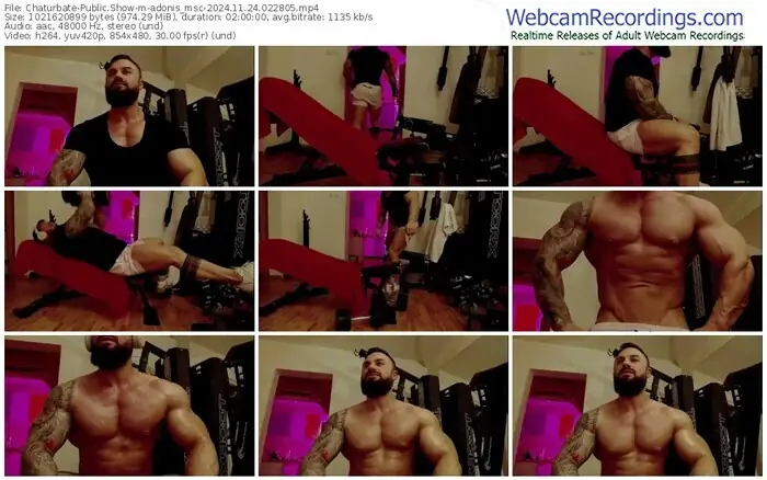 2024/11/24/chaturbate-adonis_msc-02-28-05