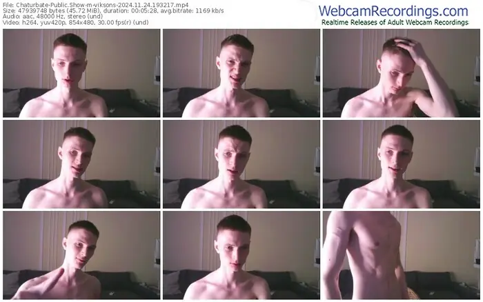 2024/11/24/chaturbate-viksons-19-32-17
