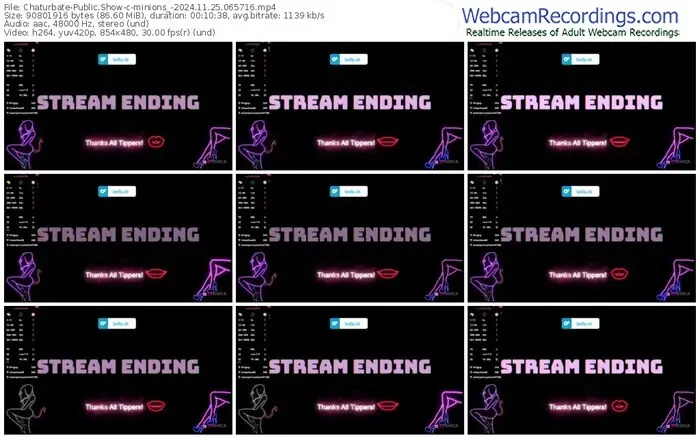 2024/11/25/chaturbate-minions_-06-57-16