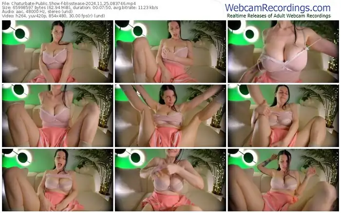 2024/11/25/chaturbate-blisstease-08-37-46