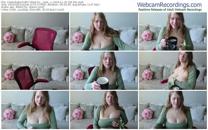2024/11/25/chaturbate-x__rose__x-20-13-41