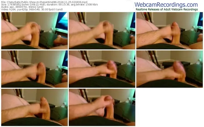 2024/11/25/chaturbate-thesentinel86-02-04-06