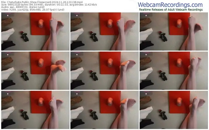 2024/11/26/chaturbate-leowizard-12-11-38