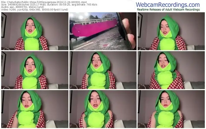 2024/11/26/chaturbate-littlesugarpea-00-09-31