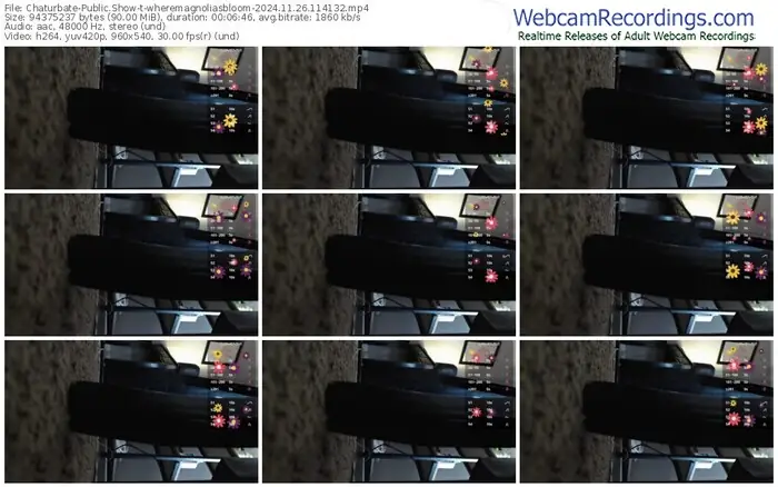 2024/11/26/chaturbate-wheremagnoliasbloom-11-41-32