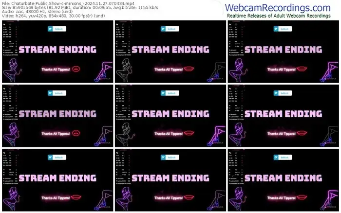 2024/11/27/chaturbate-minions_-07-04-34