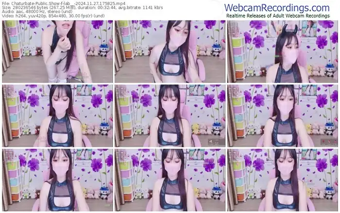 2024/11/27/chaturbate-lab__-17-58-25