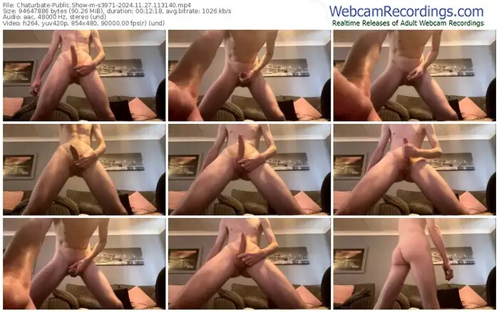 2024/11/27/chaturbate-s3971-11-31-40