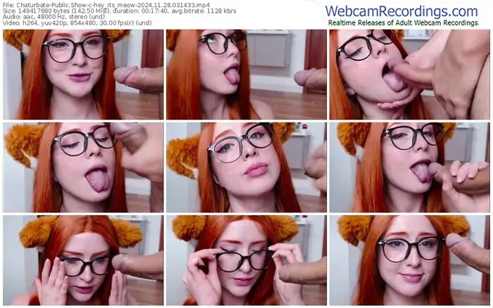 2024/11/28/chaturbate-hey_its_meow-03-14-33