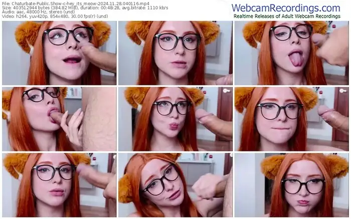 2024/11/28/chaturbate-hey_its_meow-04-01-16