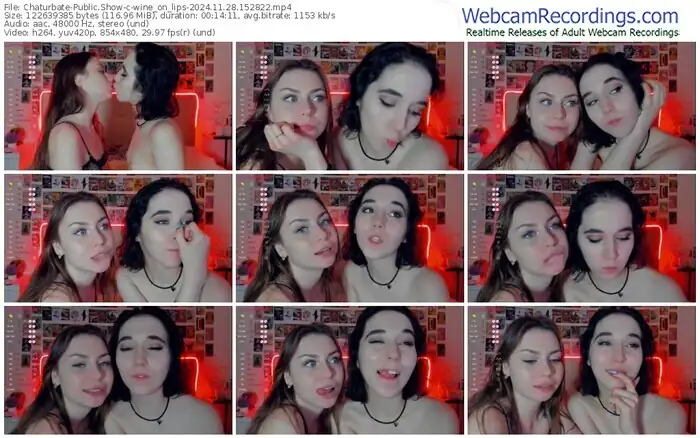 2024/11/28/chaturbate-wine_on_lips-15-28-22