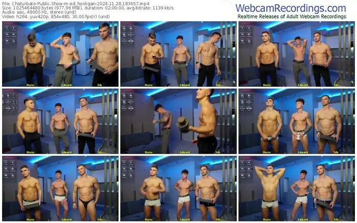 2024/11/28/chaturbate-ed_hooligan-18-36-57