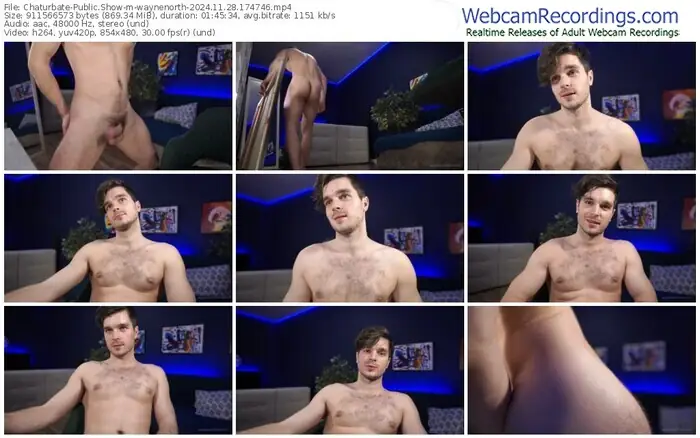 2024/11/28/chaturbate-waynenorth-17-47-46