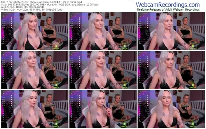 2024/11/29/chaturbate-arlenhere-21-56-56