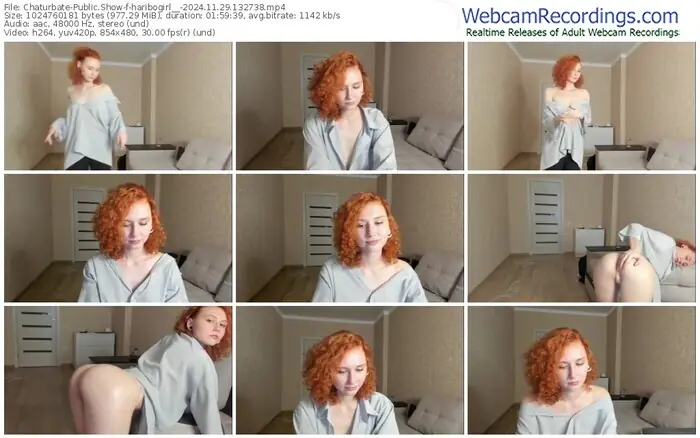 2024/11/29/chaturbate-haribogirl__-13-27-38