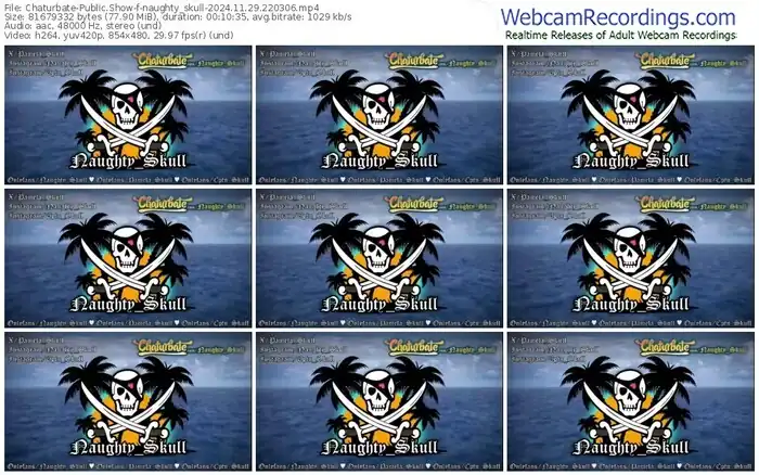 2024/11/29/chaturbate-naughty_skull-22-03-06