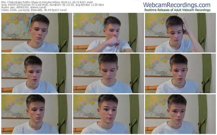 2024/11/29/chaturbate-timytwinkboy-11-42-21