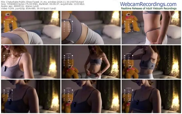 2024/11/30/chaturbate-peek_in_my_window-16-07-50