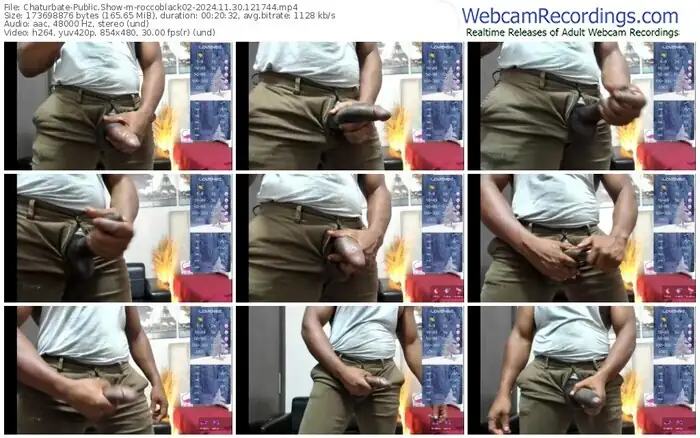 2024/11/30/chaturbate-roccoblack02-12-17-44