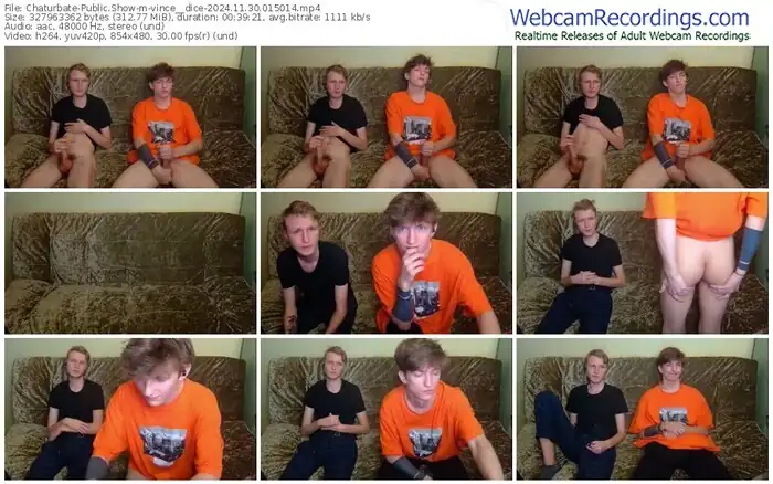 2024/11/30/chaturbate-vince__dice-01-50-14
