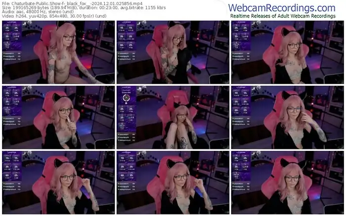 2024/12/01/chaturbate-_black_fox__-02-58-56