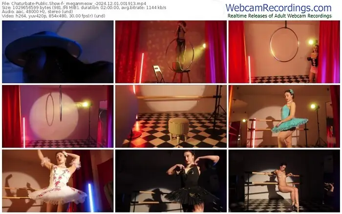 2024/12/01/chaturbate-_meganmeow_-00-19-13