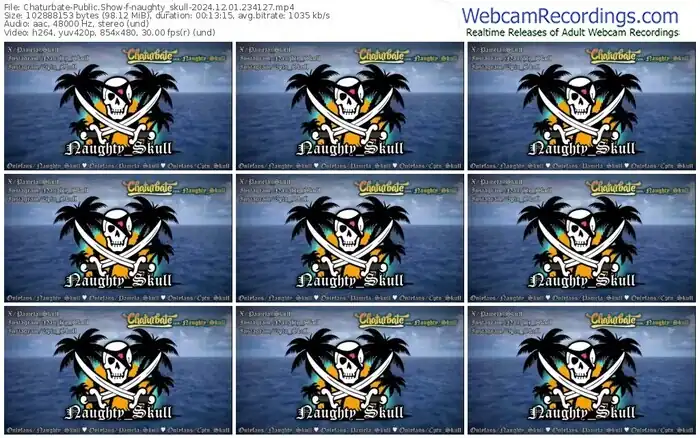 2024/12/01/chaturbate-naughty_skull-23-41-27