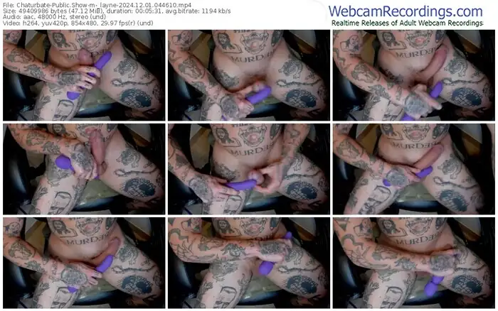 2024/12/01/chaturbate-_layne-04-46-10