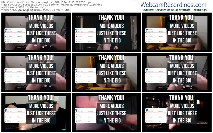 2024/12/01/chaturbate-maximus_787-21-27-08