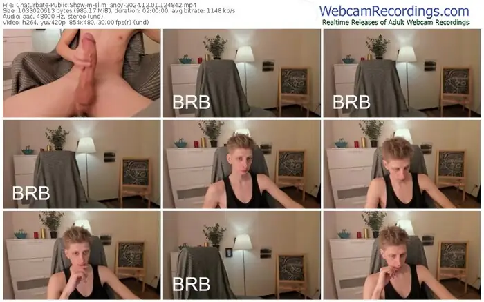 2024/12/01/chaturbate-slim_andy-12-48-42