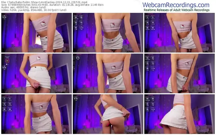 2024/12/01/chaturbate-mintlackey-23-15-31