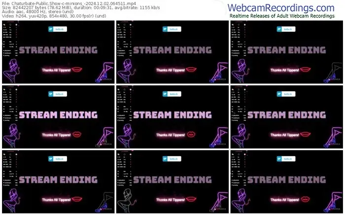 2024/12/02/chaturbate-minions_-06-45-11