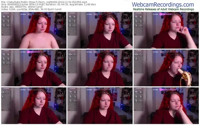 2024/12/02/chaturbate-cherry_night666-05-03-56