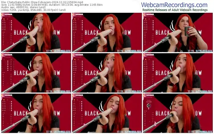 2024/12/02/chaturbate-divacam-22-58-34