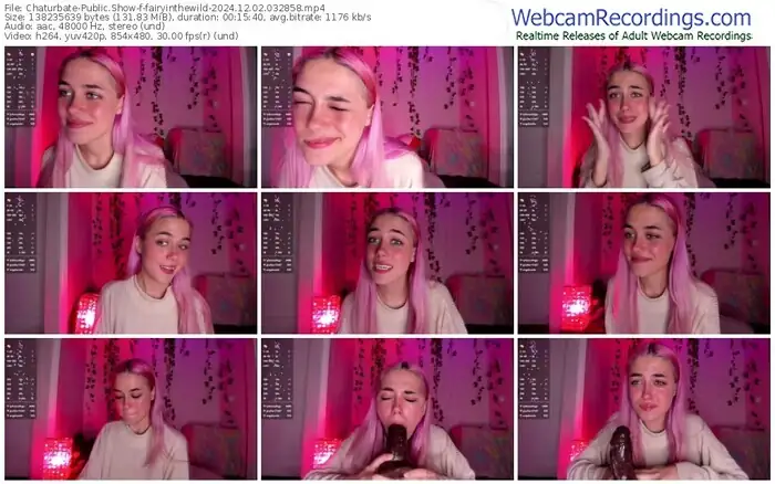 2024/12/02/chaturbate-fairyinthewild-03-28-58