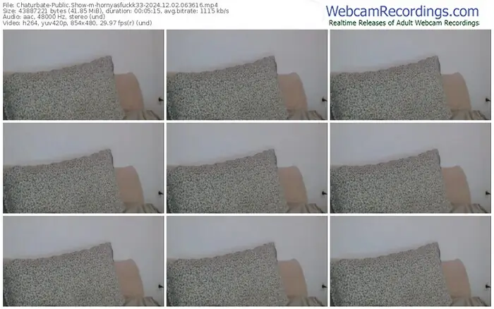 2024/12/02/chaturbate-hornyasfuckk33-06-36-16