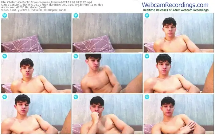 2024/12/02/chaturbate-james_friends-01-23-22