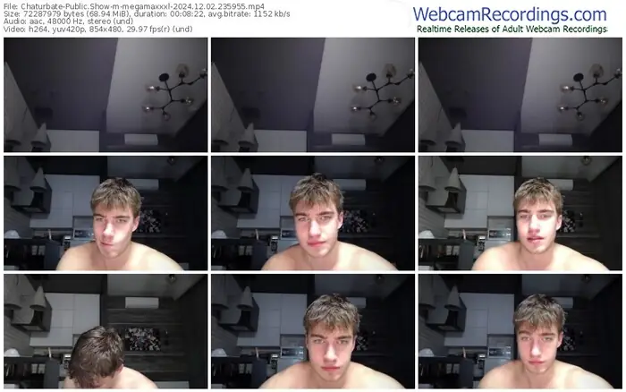 2024/12/02/chaturbate-megamaxxxl-23-59-55