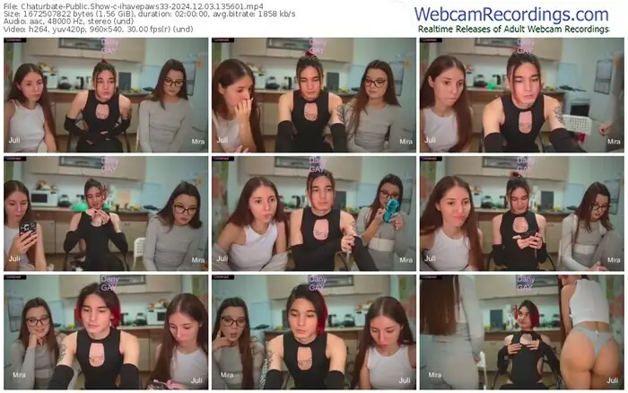 2024/12/03/chaturbate-ihavepaws33-13-56-01