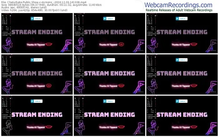 2024/12/03/chaturbate-minions_-14-19-36