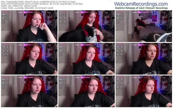 2024/12/03/chaturbate-cherry_night666-05-11-19