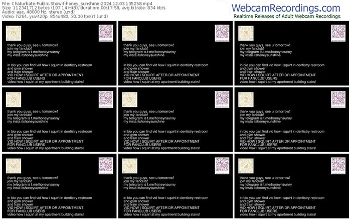 2024/12/03/chaturbate-honey_sunshine-13-52-58